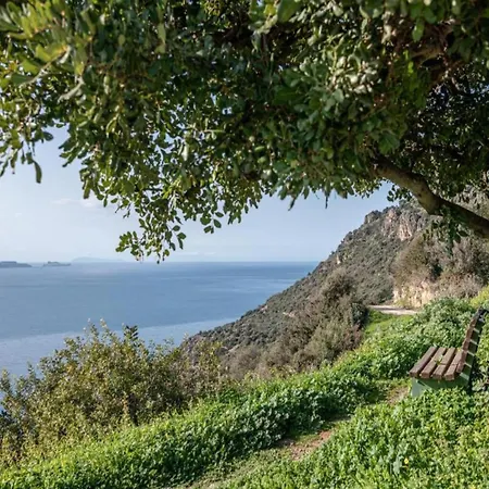 Lejlighed Seaview In Beautiful Setting West From Chania